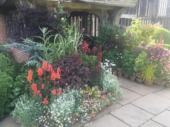 How to Group Container Plants Tips from Great Dixter - Longfield Gardens