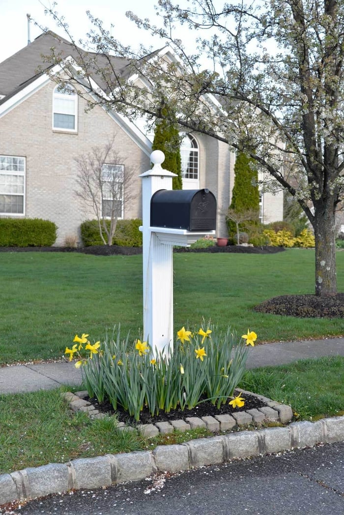 Daffodil_Blog