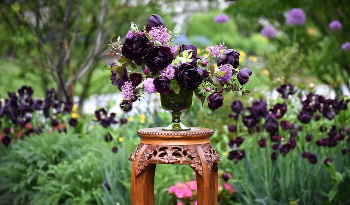 Best Techniques for Cutting Daffodils, Tulips, and Hyacinths Longfield Gardens