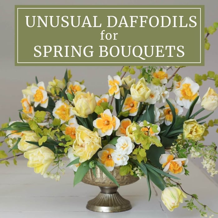 Understanding Cold Hardiness & Heat Tolerance - Longfield Gardens