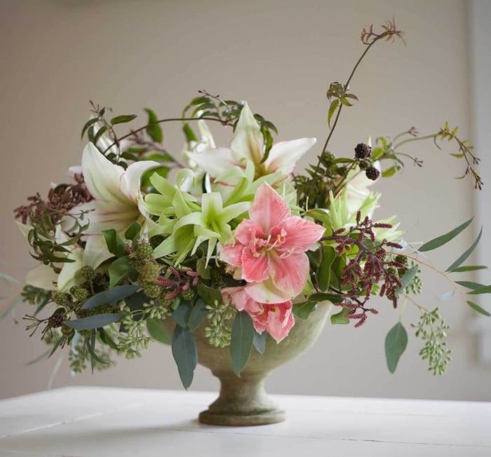 How to Use Amaryllis as Cut Flowers - Longfield Gardens