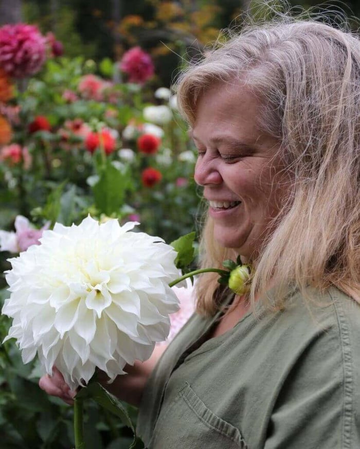 New Dahlia Collections from Flirty Fleurs - Longfield Gardens