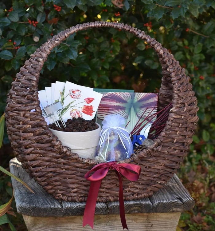 5 Creative Ways to Gift Amaryllis - Longfield Gardens