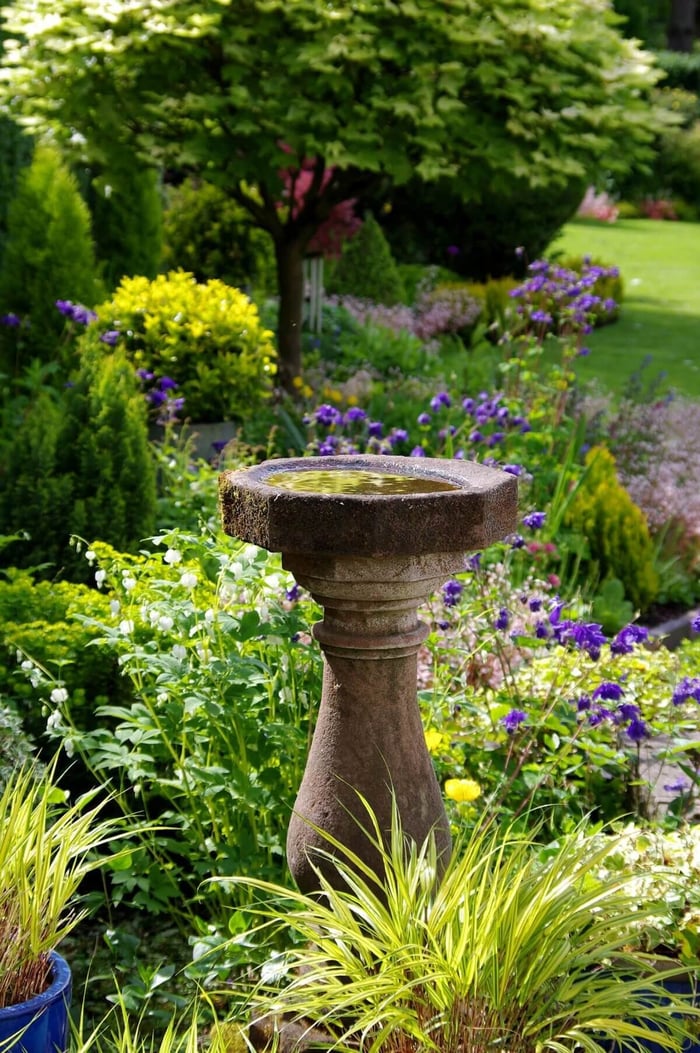 How to Attract Birds to Your Garden - Longfield Gardens