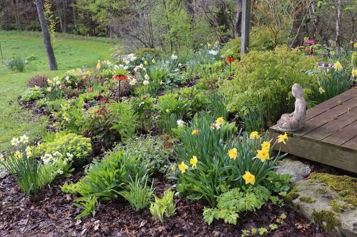 Best-Companion-Plants-For-Hostas—Longfield-Gardens