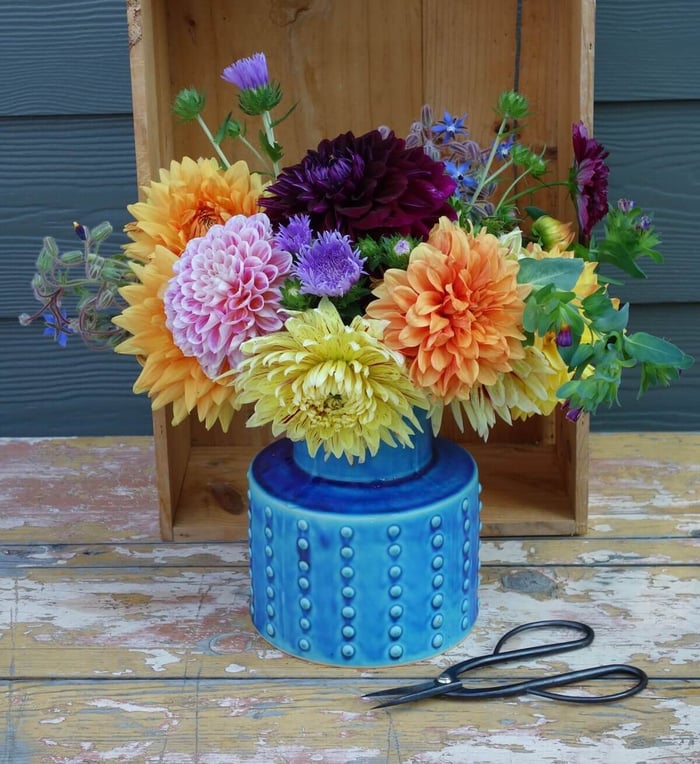 A Backyard Cutting Garden Takes Shape - Longfield Gardens