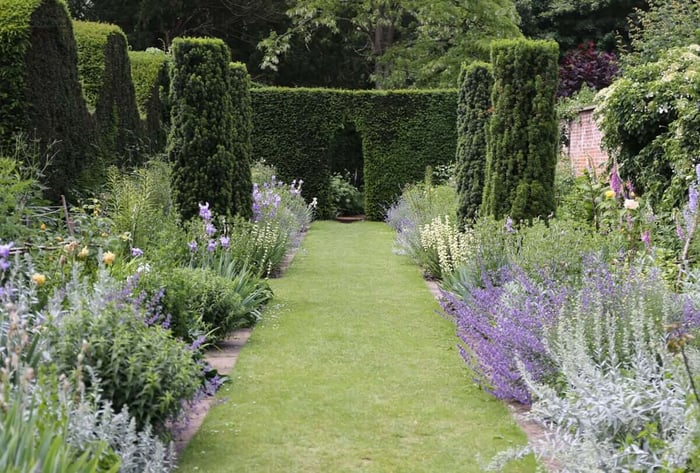How to Use Purple Flowers in Your Garden - Longfield Gardens