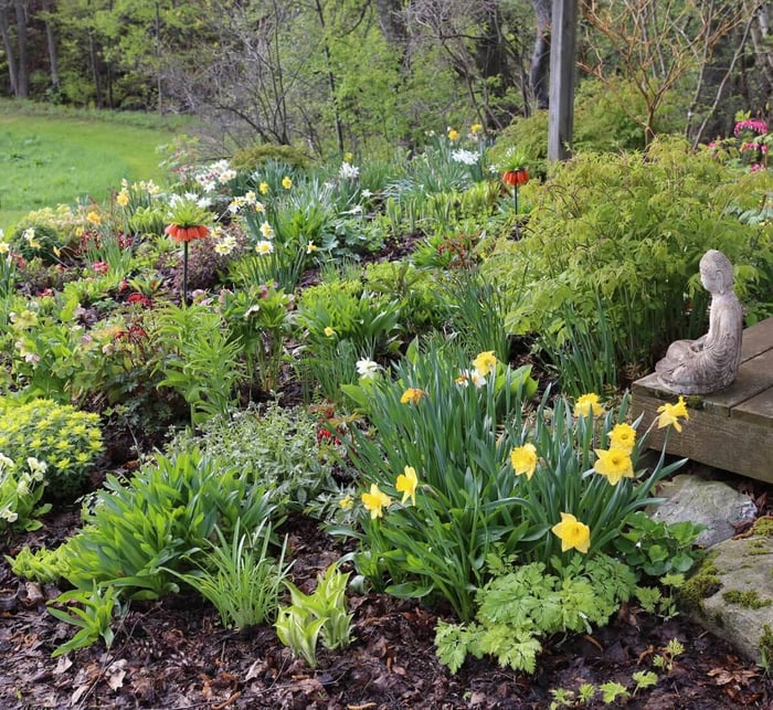 Spring Checklist for Flower Gardeners - Longfield Gardens
