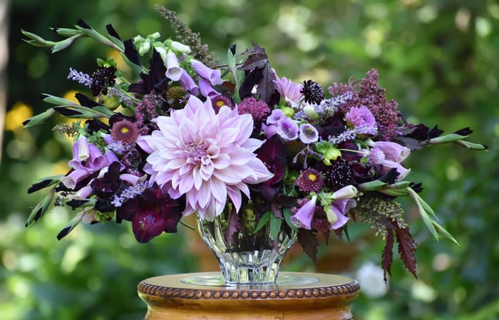 Expert Tips for Cutting, Conditioning and Arranging Dahlias - Longfield Gardens