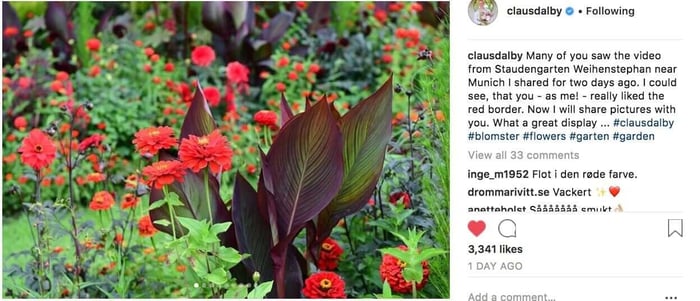 How to Use Red in Your Flower Garden - Longfield Gardens