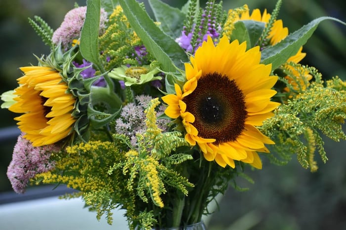 How to Get the Longest Vase Life from Fresh Cut Flowers - Longfield Gardens