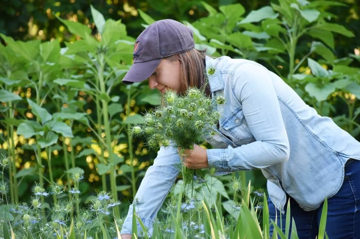 How to Get the Longest Vase Life from Fresh Cut Flowers - Longfield Gardens