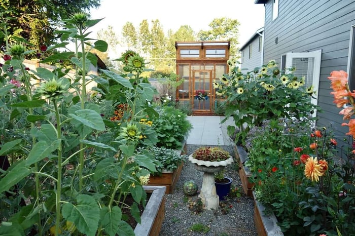A Backyard Cutting Garden Takes Shape - Longfield Gardens