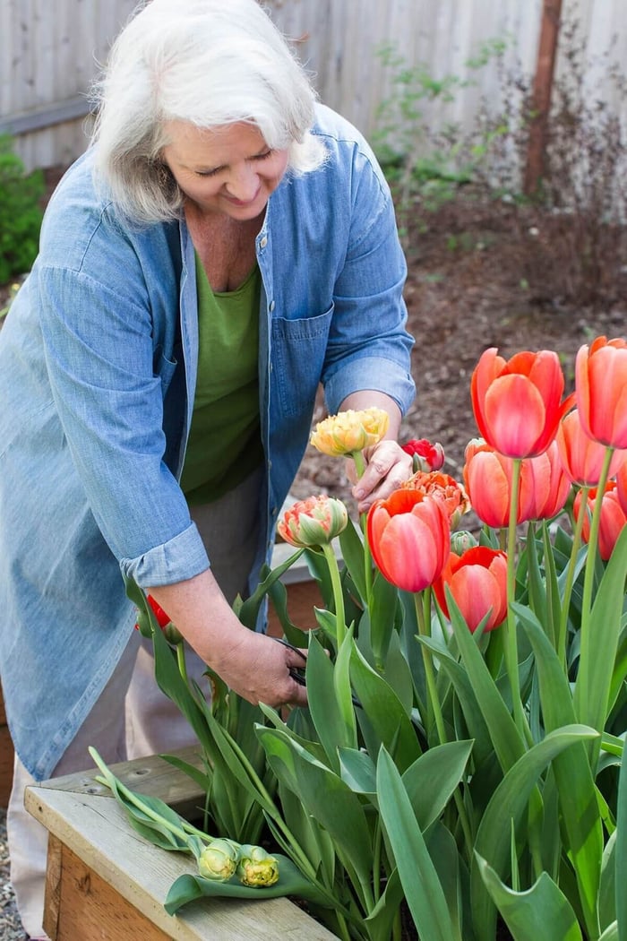 Celebrating-Spring-in-a-Backyard-Cutting-Garden-Longfield-Gardens