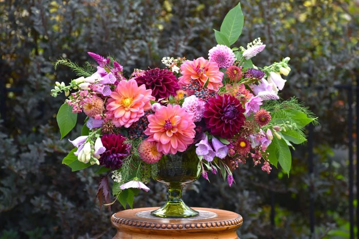 Dahlia Flower Forms for the garden and vase Longfield Gardens
