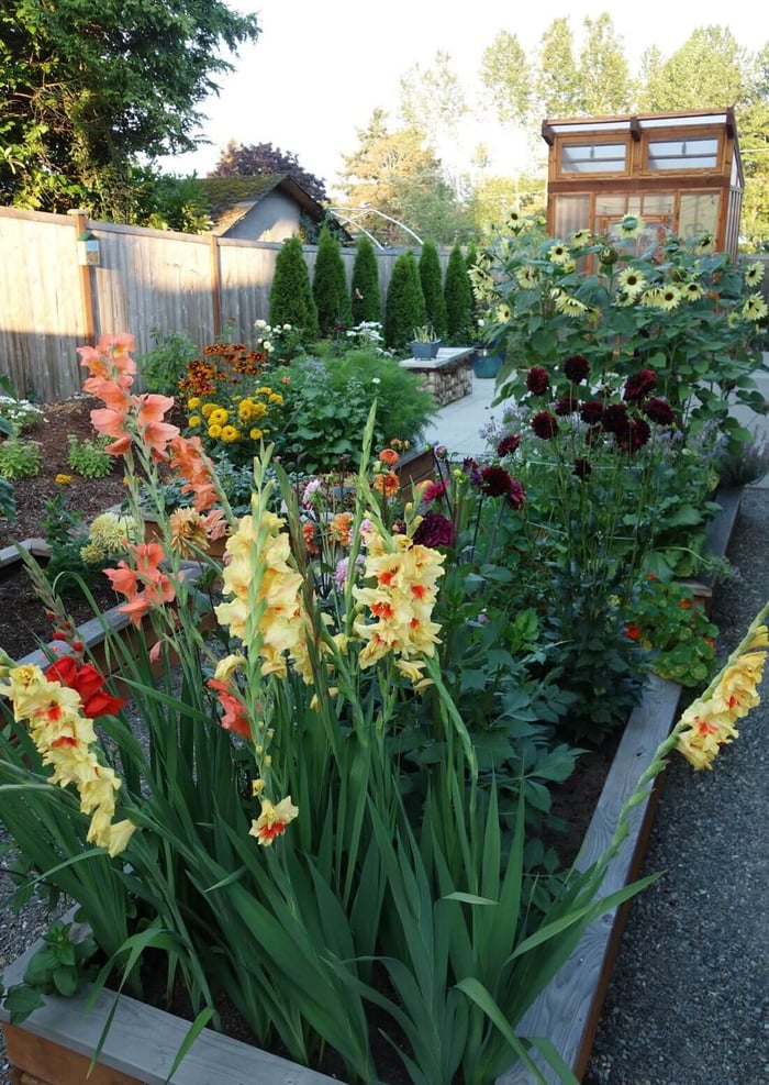 Using a Cutting Garden for Spring Flower Arrangements - Longfield Gardens