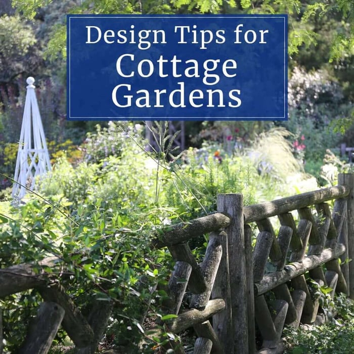 Design Tips for Cottage Gardens - Longfield Gardens