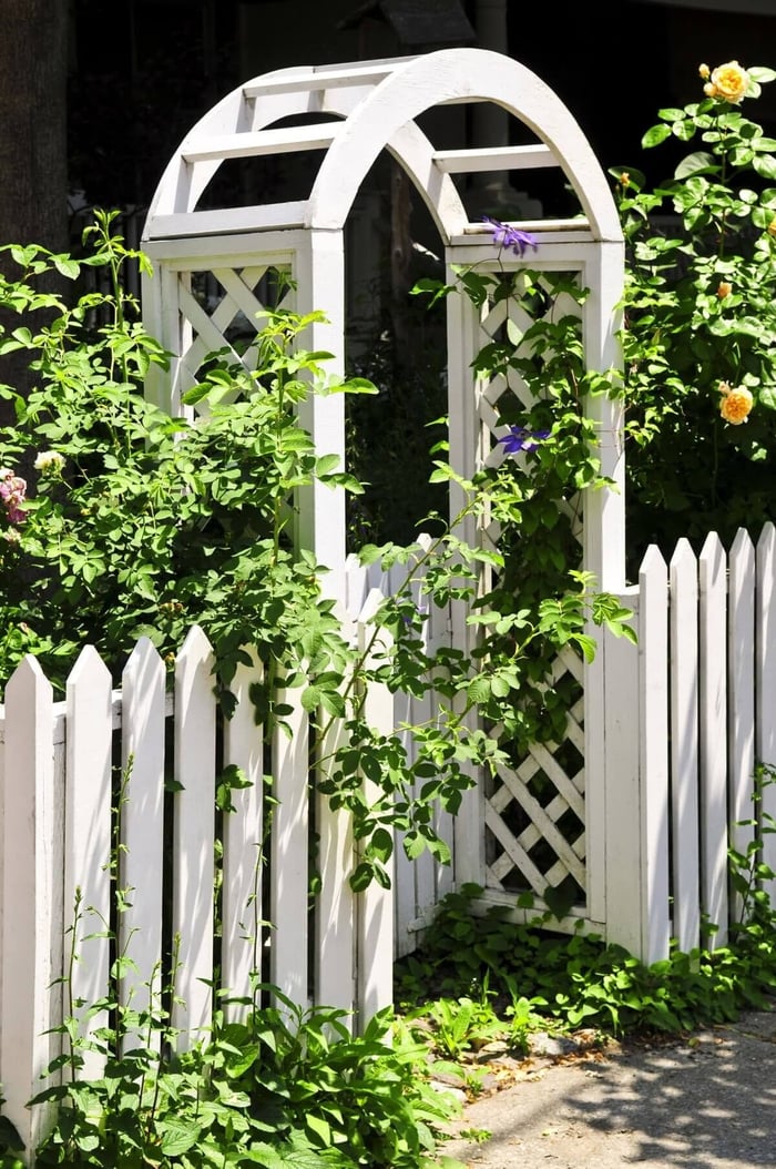 Design-Tips-for-Cottage-Gardens-Longfield-Gardens