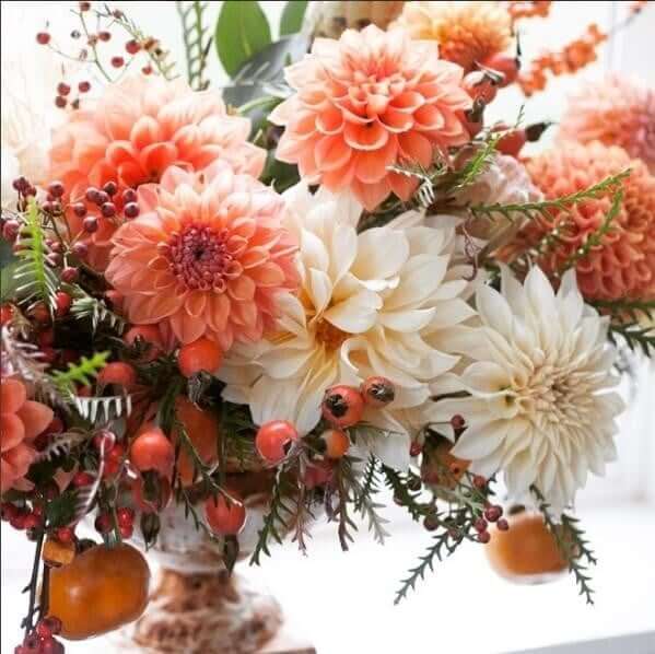 Expert Tips for Cutting, Conditioning and Arranging Dahlias - Longfield Gardens