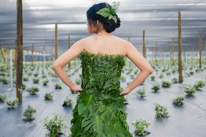 American Flowers Week - Longfield Gardens