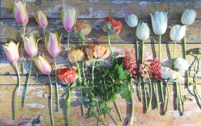 Using a Cutting Garden for Spring Flower Arrangements - Longfield Gardens