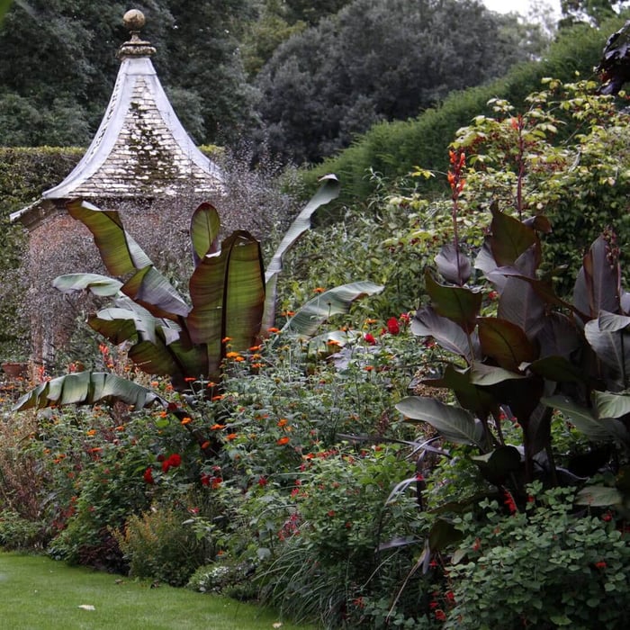 How to Use Red in Your Flower Garden - Longfield Gardens