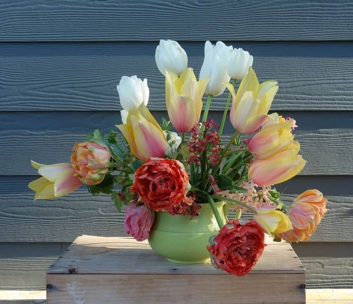 Using a Cutting Garden for Spring Flower Arrangements - Longfield Gardens