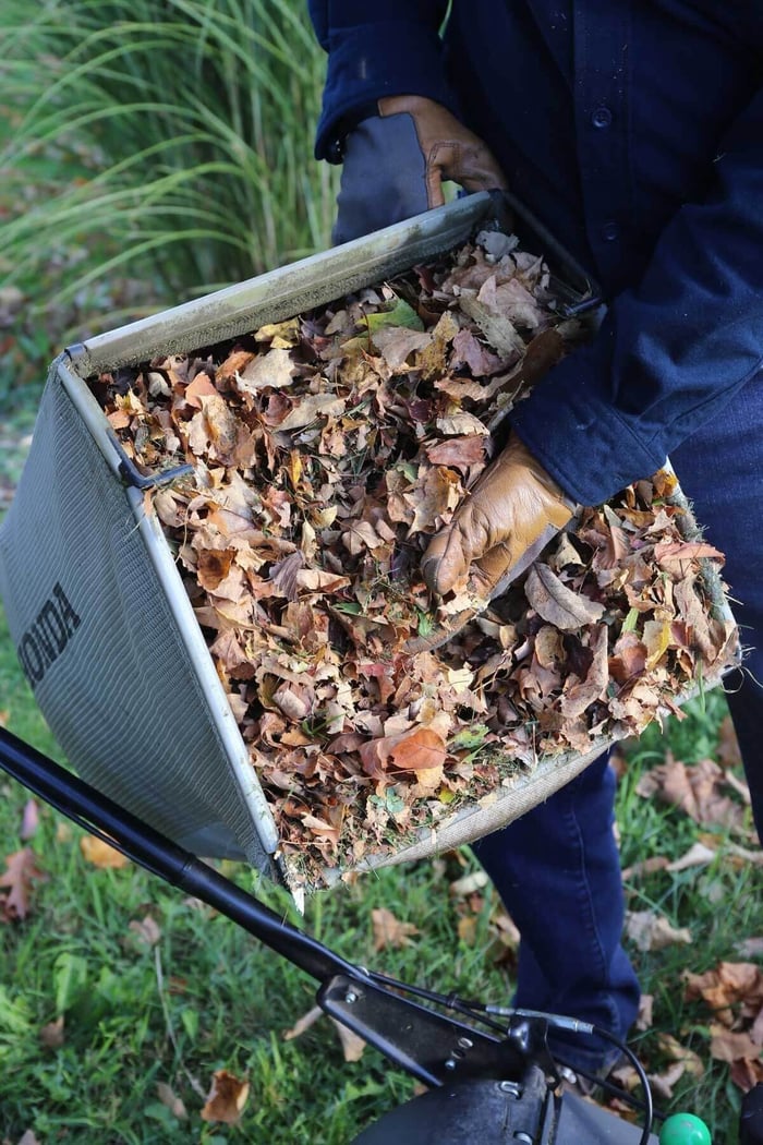 Shredded Leaves are Garden Gold - Longfield Gardens