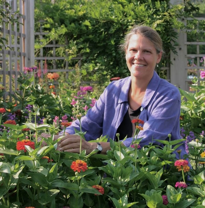 How to Design an Orange Flower Garden - Longfield Gardens