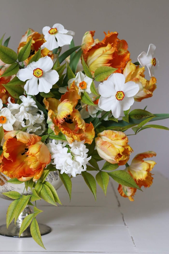 Unusual Daffodils for Spring Bouquets - Longfield Gardens