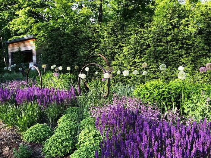 Flower Bulb Trends for Spring - Longfield Gardens