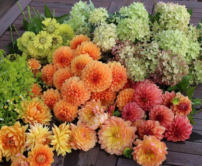 DIY-Wedding-Flowers-Longfield Gardens