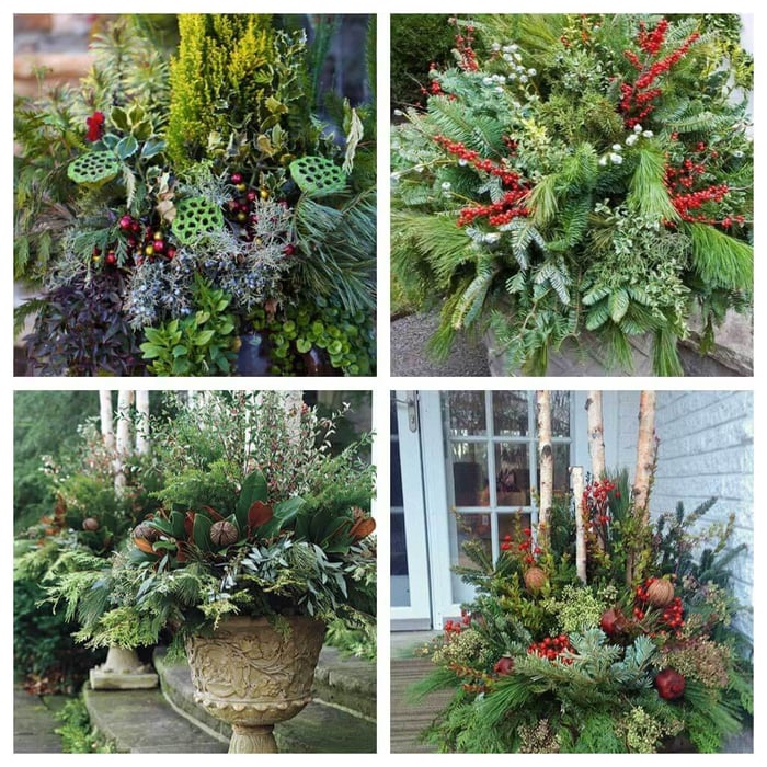 Making a Holiday Container to Decorate Your Entryway - Longfield Gardens