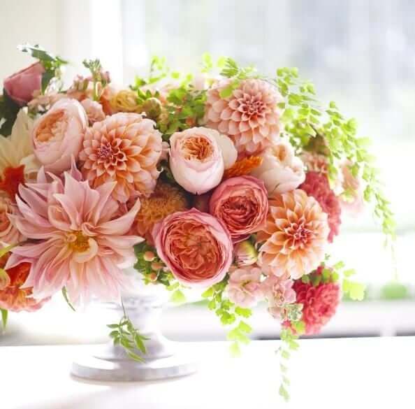 Expert Tips for Cutting, Conditioning and Arranging Dahlias - Longfield Gardens