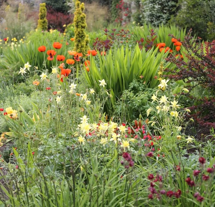 Spring Checklist for Flower Gardeners - Longfield Gardens