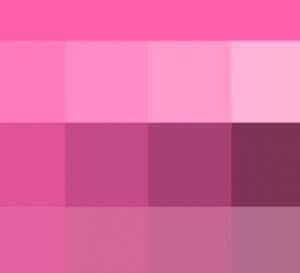 How to Use Pink in Your Flower Garden - Longfield Gardens