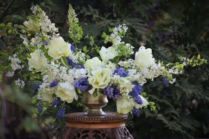 Tips for Using Daffodils as Cut Flowers - Longfield Gardens