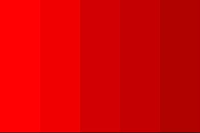 How to Use Red in Your Flower Garden - Longfield Gardens