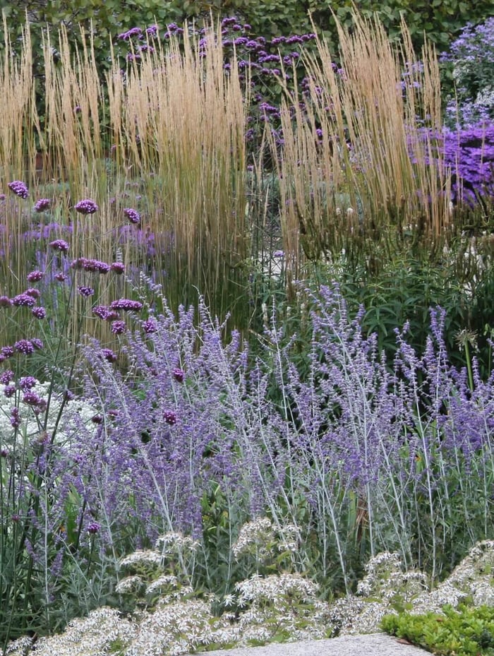 8 Tips for a Water-Saving Flower Garden - Longfield Gardens