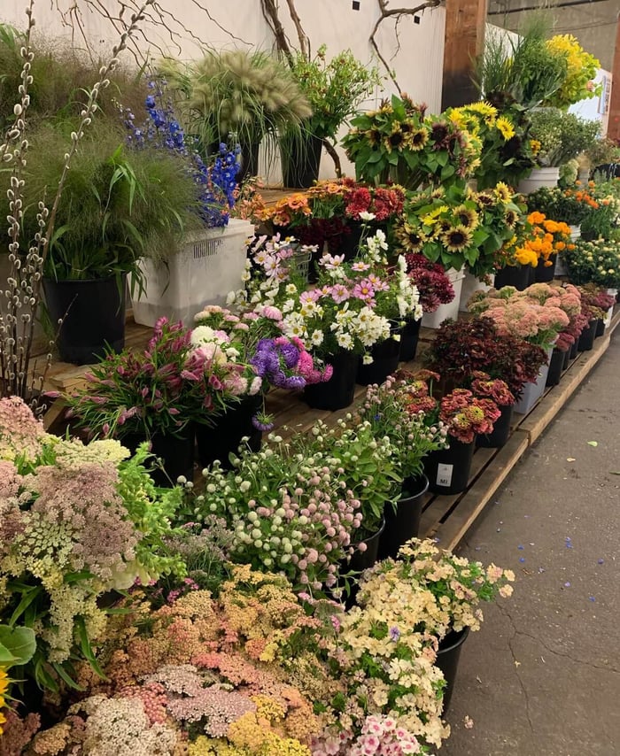 Celebrating-Spring-in-a-Backyard-Cutting-Garden-Longfield-Gardens