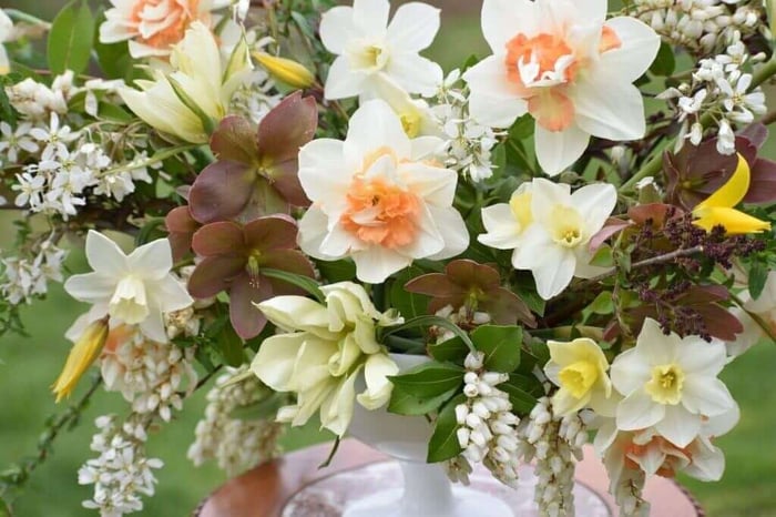 Tips for Using Daffodils as Cut Flowers - Longfield Gardens