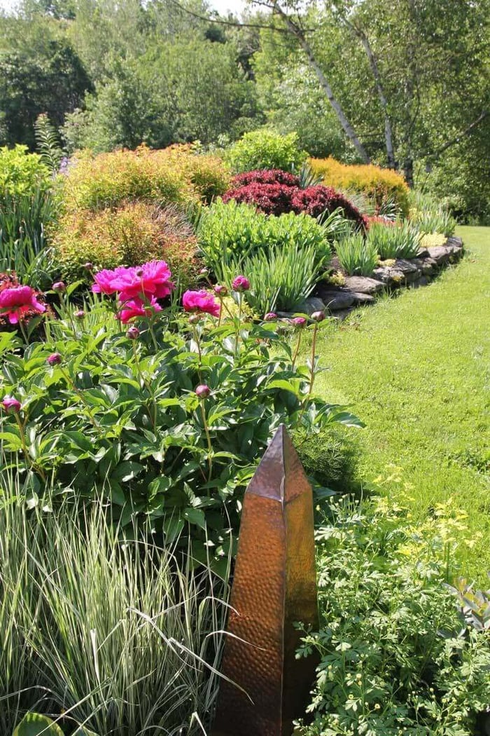 tropicanna-in-perennial-garden-1.jpg