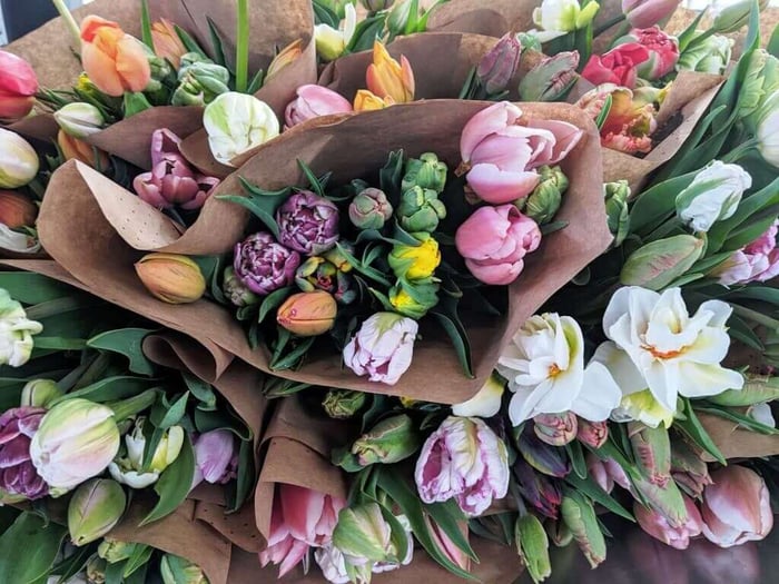 Flower Farmers Recommend Their Best-Selling Spring Flowers - Longfield Gardens