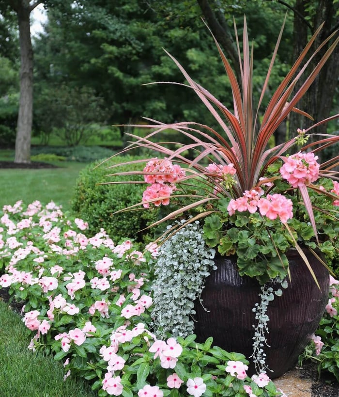 Spring Checklist for Flower Gardeners - Longfield Gardens