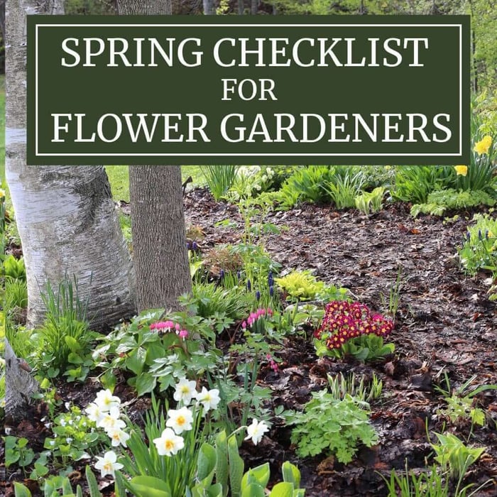 Spring Checklist for Flower Gardeners - Longfield Gardens