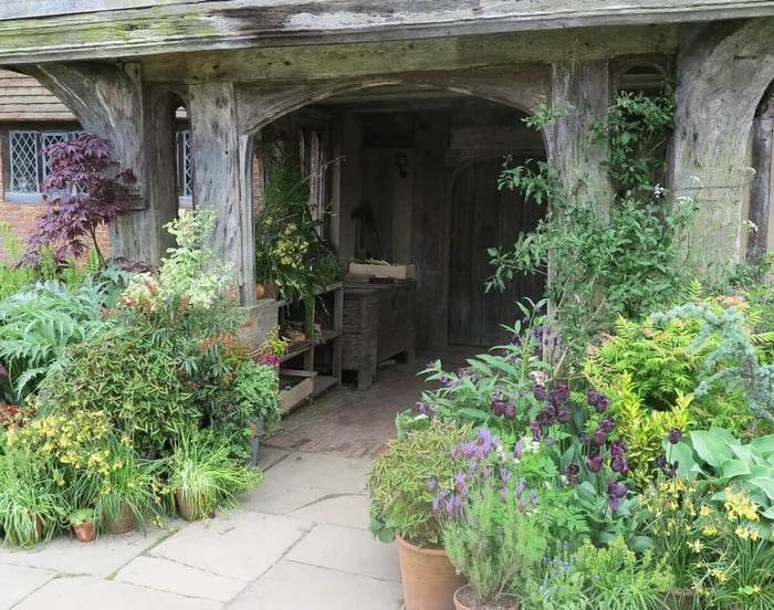 How to Group Container Plants Tips from Great Dixter - Longfield Gardens