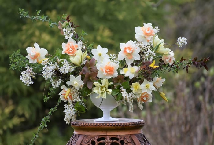 Best Cut Flowers for Shady Gardens - Longfield Gardens