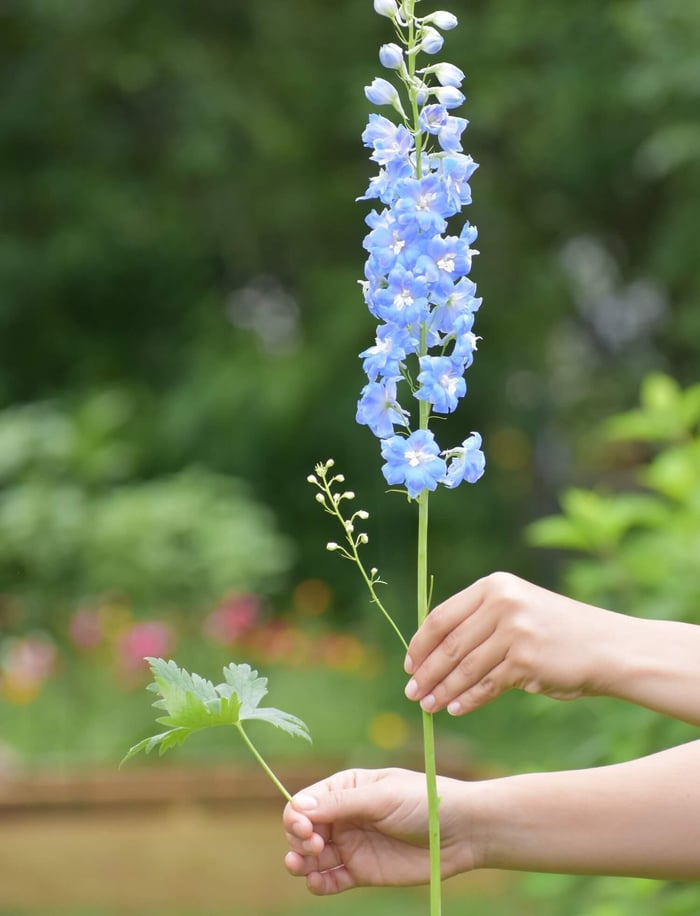 How to Get the Longest Vase Life from Fresh Cut Flowers - Longfield Gardens