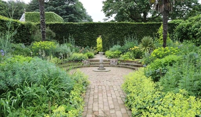 How to Use Yellow in Your Flower Garden - Longfield Gardens