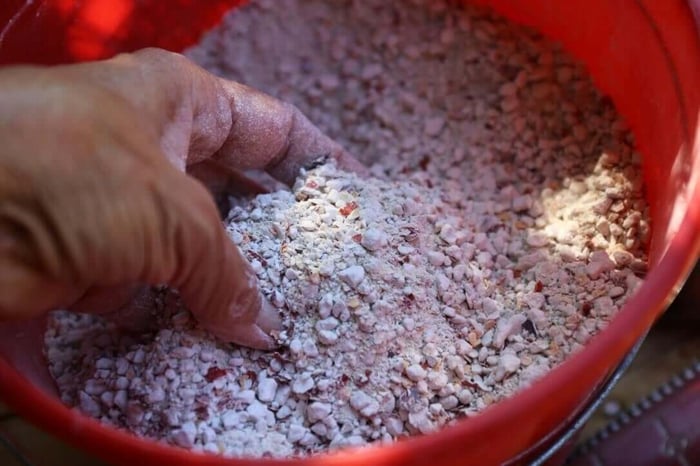 oyster shells with red pepper and garlic